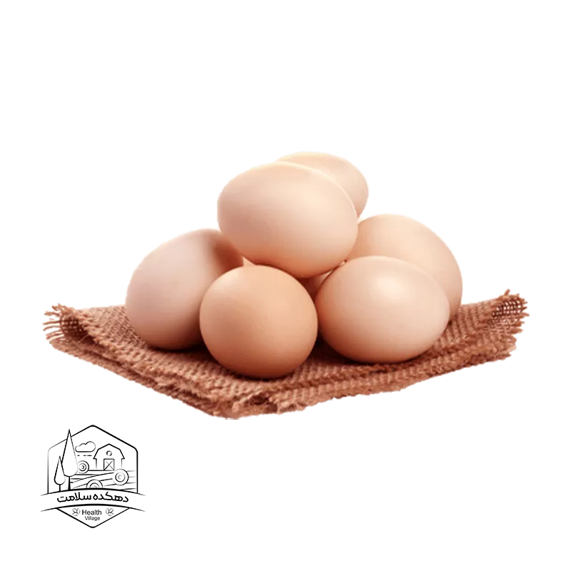 تخم مرغ ارگانیک 1