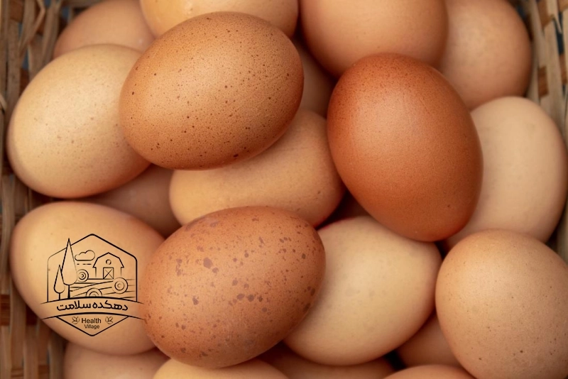 تخم مرغ ارگانیک