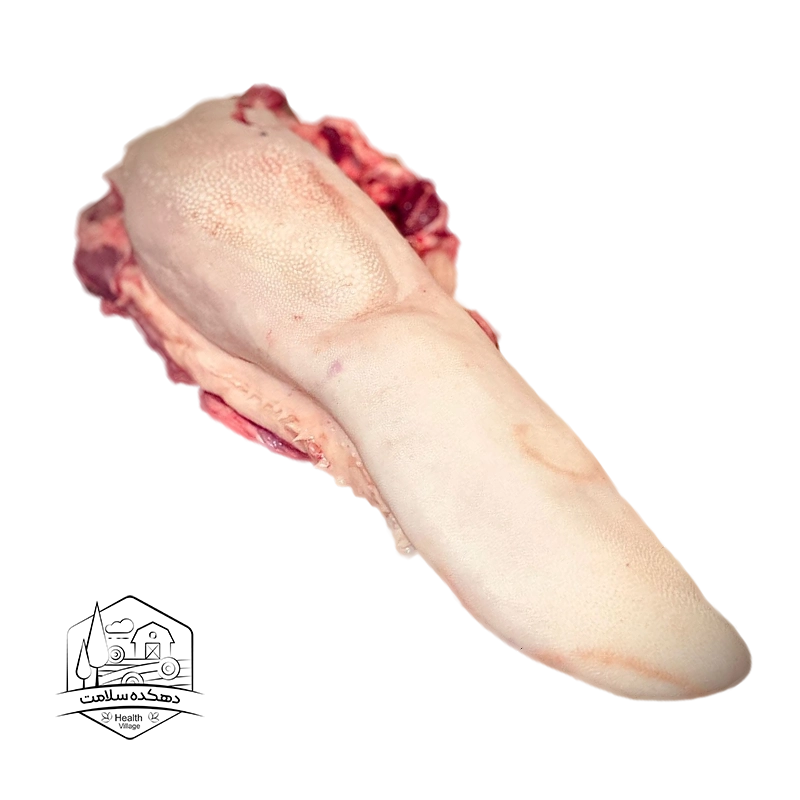 زبان گوساله