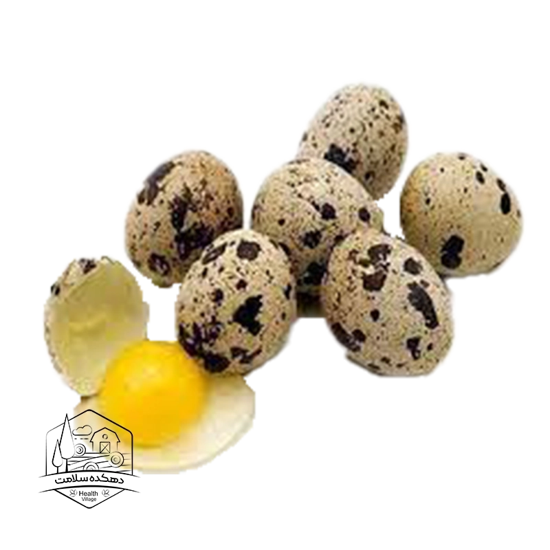 تخم بلدرچین