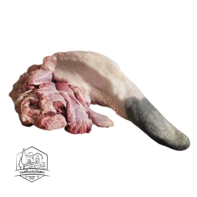 زبان گوساله