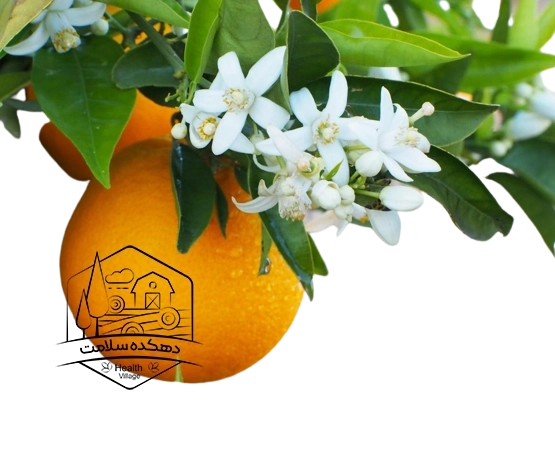 عرق بهار نارنج