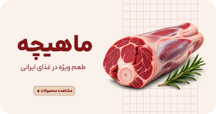 ماهیچه