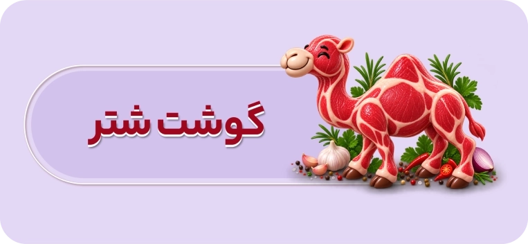 گوشت شتر